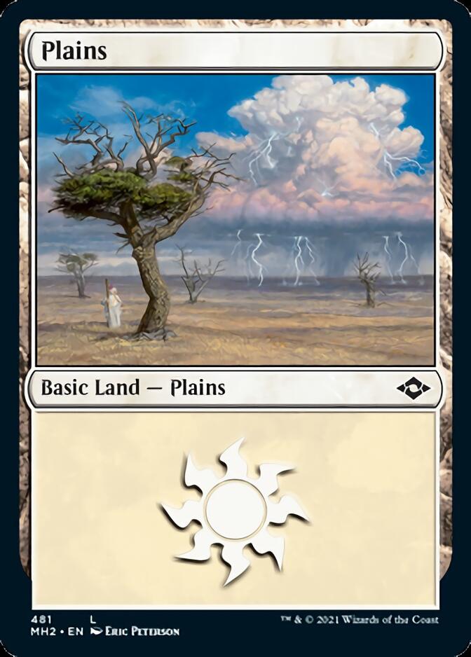 Plains (481) (Foil Etched) [Modern Horizons 2]